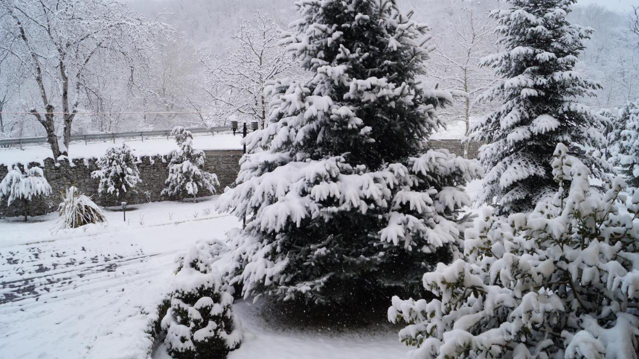 Gabala Yeddi Gozel Hotel ภายนอก รูปภาพ
