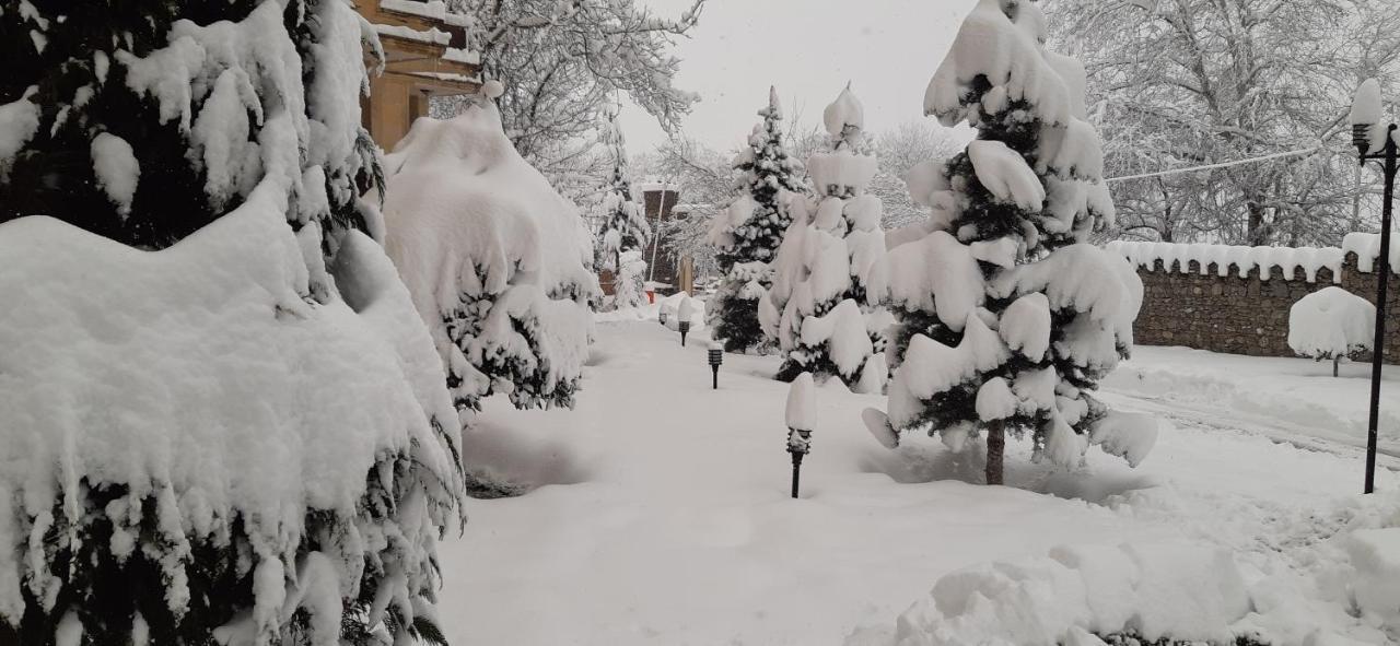Gabala Yeddi Gozel Hotel ภายนอก รูปภาพ